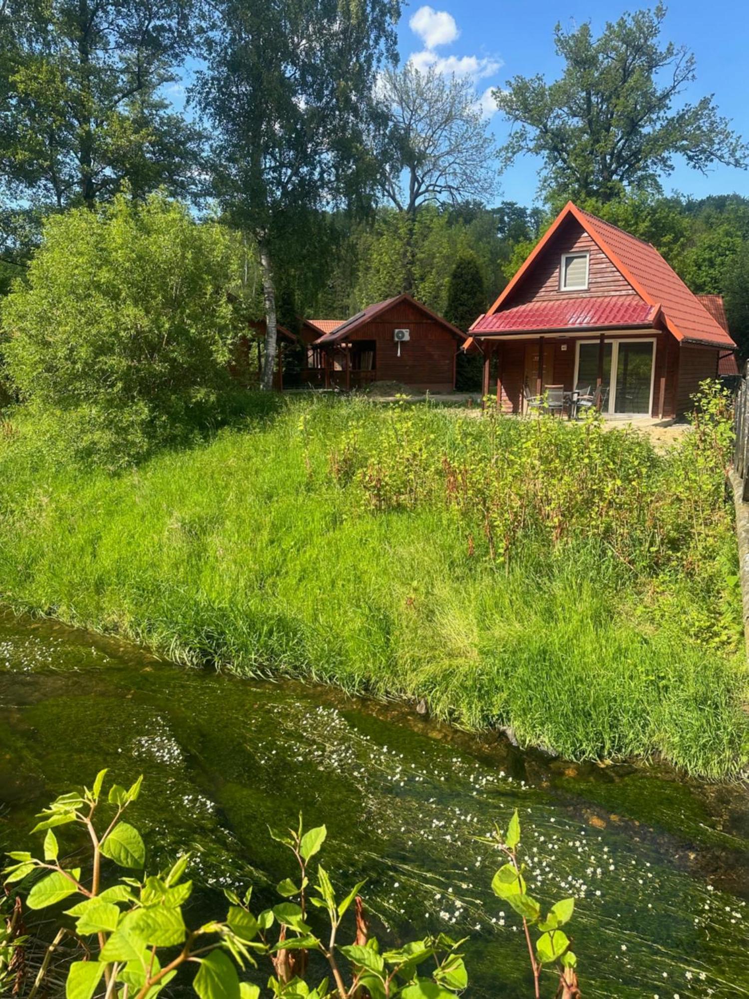 W Gorach Opawskich Nad Zlotym Potokiem Nr 45 Holiday home