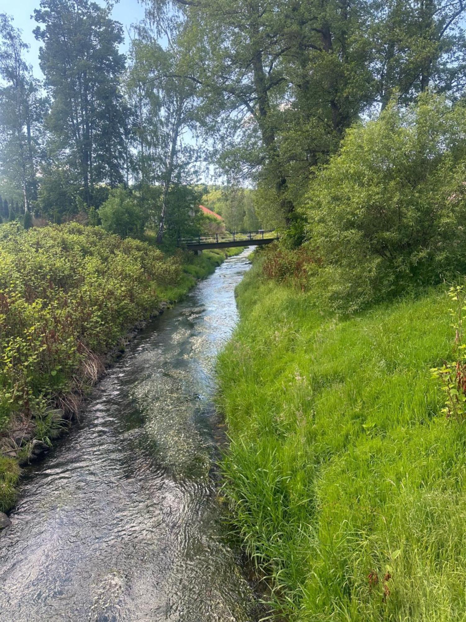W Gorach Opawskich Nad Zlotym Potokiem Nr 45